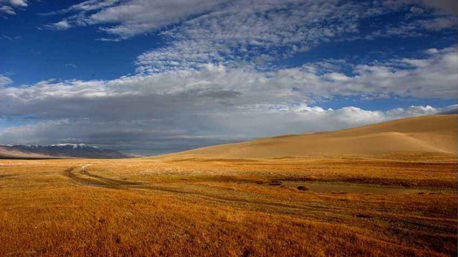 沙漠-用脚步丈量腾格里沙漠