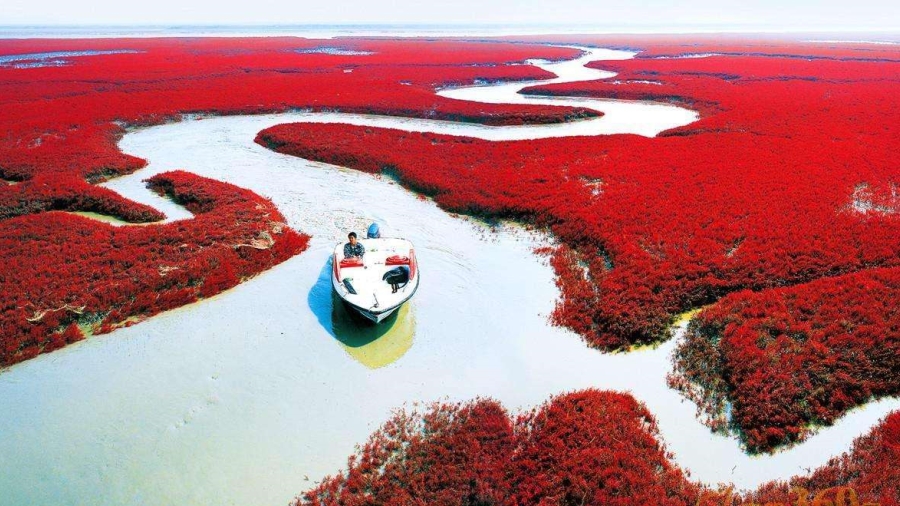 老外带你去团建-登山涉水探秘长白山