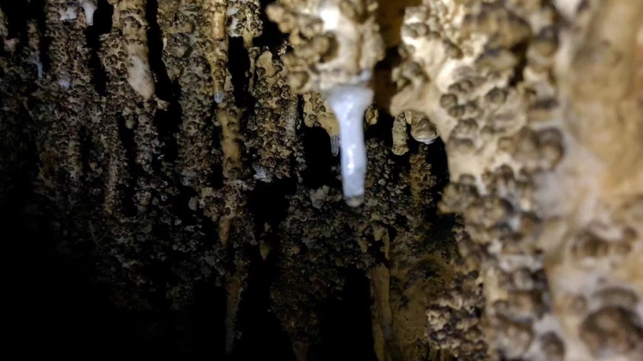 《洞·见初心 洞·见未来》探洞主题活动