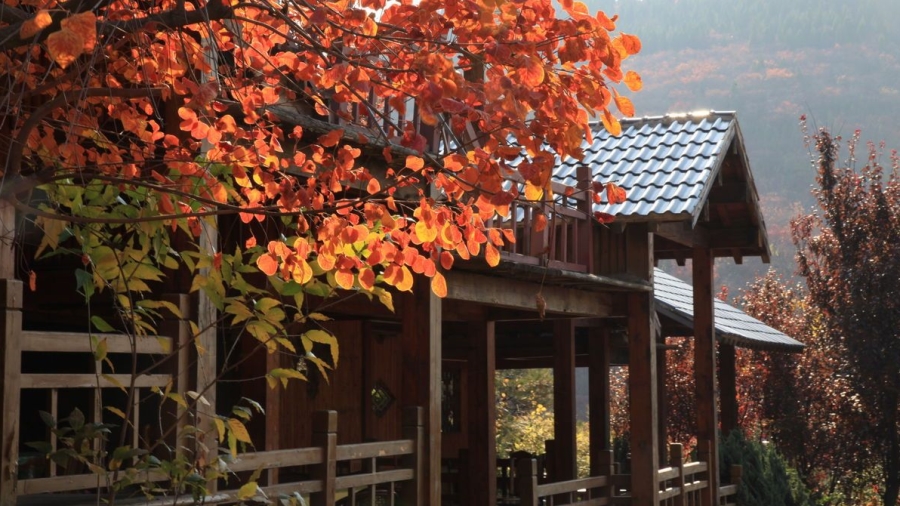 老外带你去团建-登山涉水探秘长白山