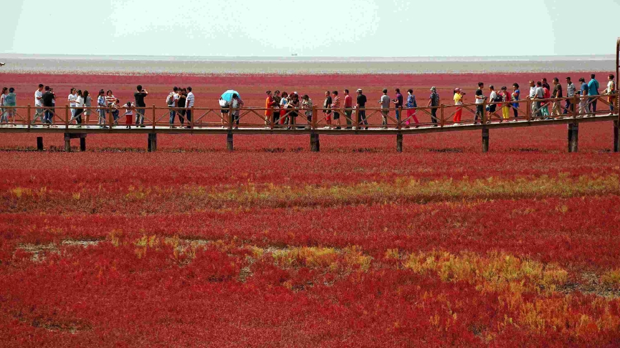 老外带你去团建-登山涉水探秘长白山
