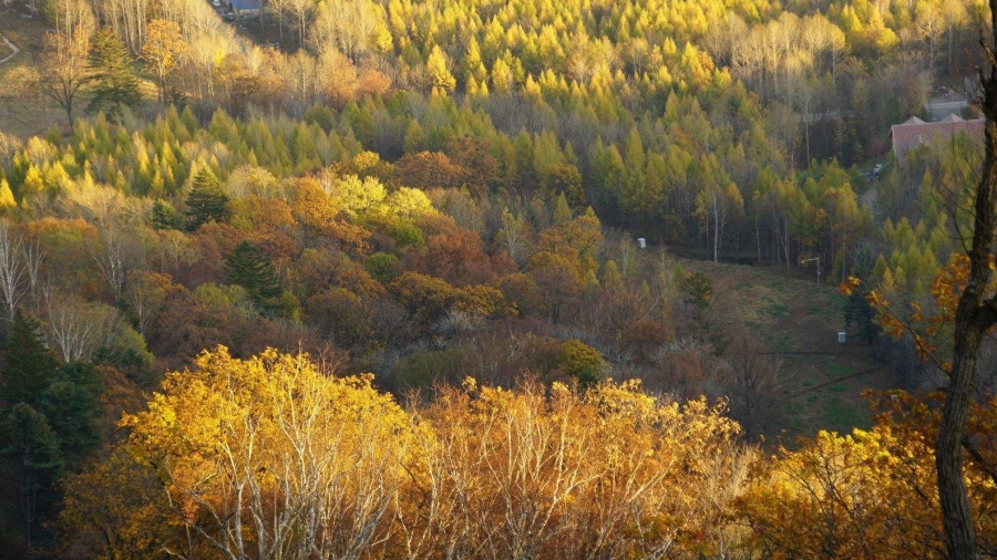 老外带你去团建-登山涉水探秘长白山