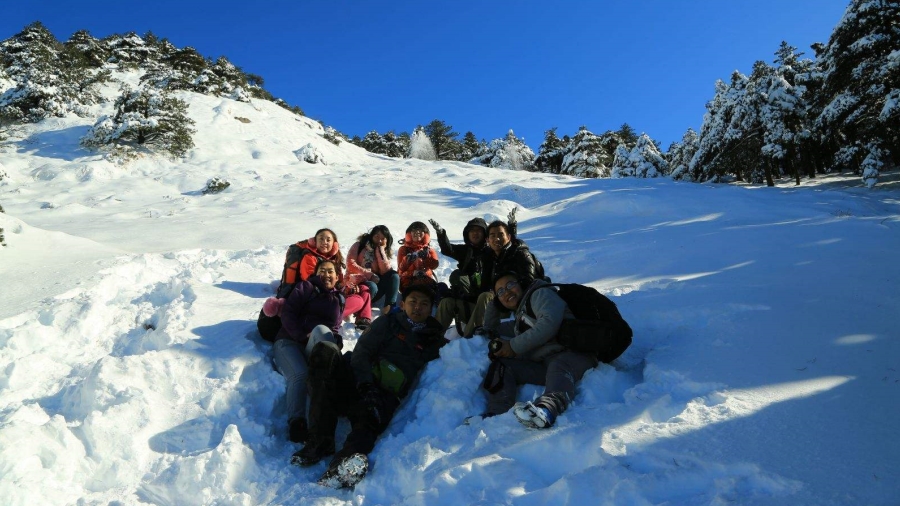旅行-登黄山赏美竹领略徽式建筑之美
