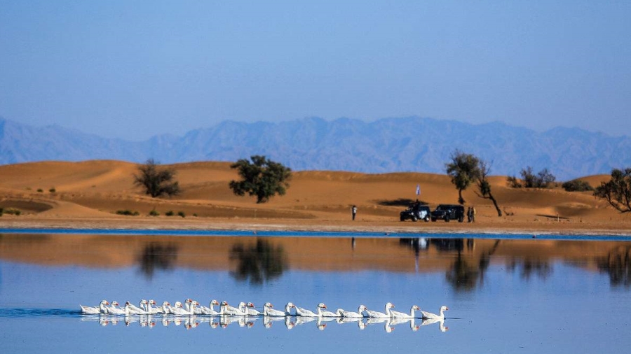 沙漠-用脚步丈量腾格里沙漠