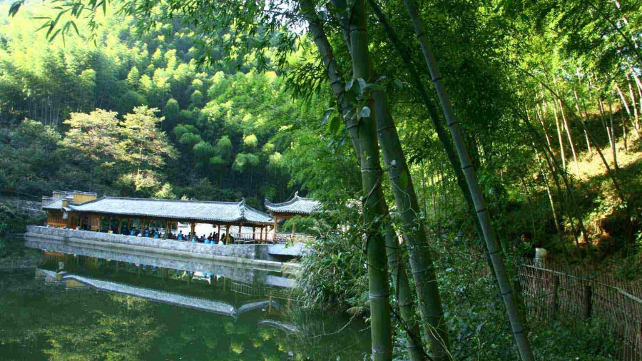 旅行-登黄山赏美竹领略徽式建筑之美