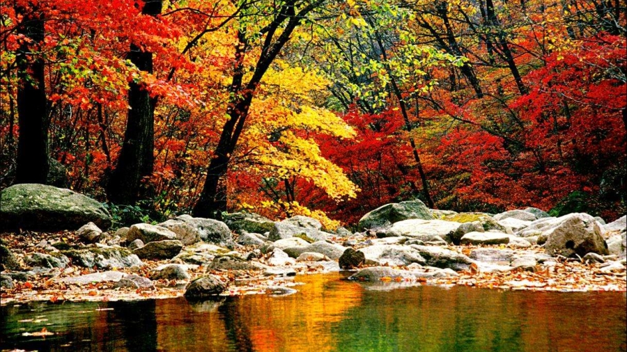 老外带你去团建-登山涉水探秘长白山