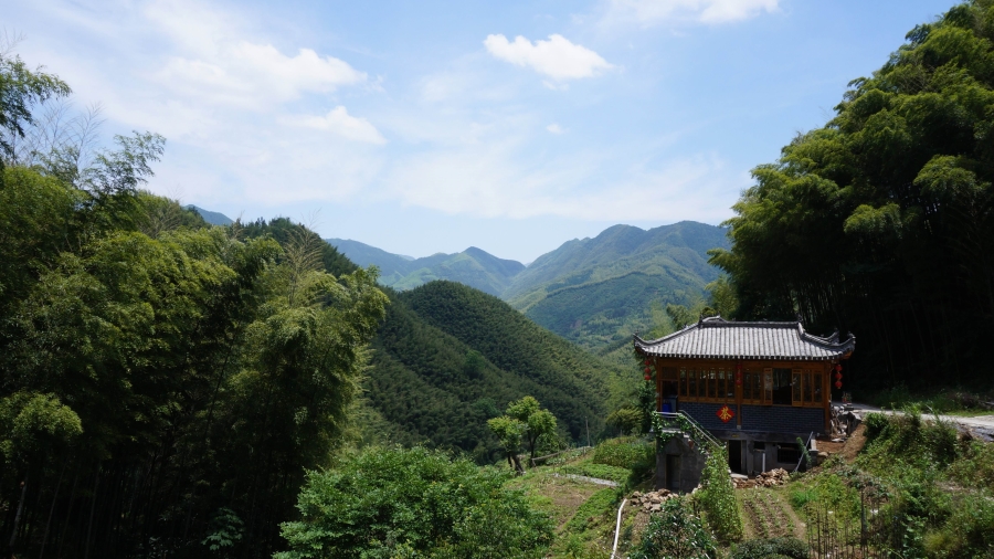 旅行-登黄山赏美竹领略徽式建筑之美