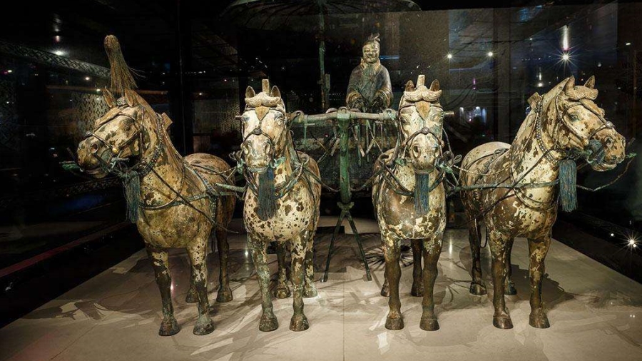 老外带你去团建-去西安见证奇迹