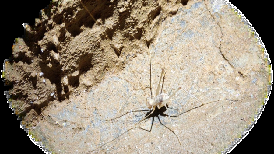 《洞·见初心 洞·见未来》探洞主题活动