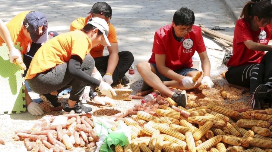 《向往的生活》主题团建活动